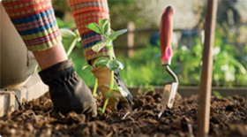 Tools of the trade: 7 essential farmer-florist tools to cut, snip, chop, prune and lop
