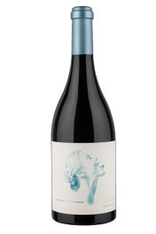 Summer Dreams, Stargazing Pinot Noir 2022