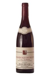 Serafin Pere & Fils, Chambolle Musigny 1er Cru Les Baudes 2022