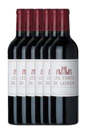 Les Forts de Latour 2009 (6x0.75L) 2009