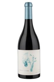Summer Dreams, Stargazing Pinot Noir 2022
