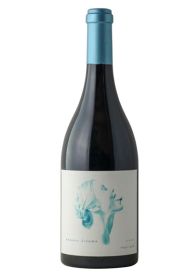 Summer Dreams, Twilight Pinot Noir 2022