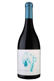 Summer Dreams, Super Chill Pinot Noir 2021