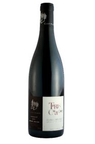 Domaine des Roches Neuves, Saumur Champigny Terres Chaudes 2023