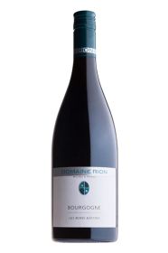 Domaine Patrice Rion, Bourgogne Les Bons Batons 2020