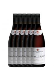 Bouchard Pere & Fils Chambolle Musigny Case 2013/2014/2017/2018/2019/2020 (6x0.75L)