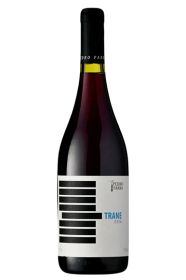 Pedro Parra, Trane Cinsault 2023