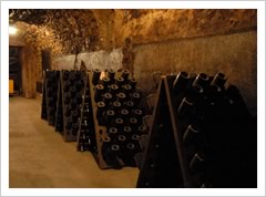Champagne Winery